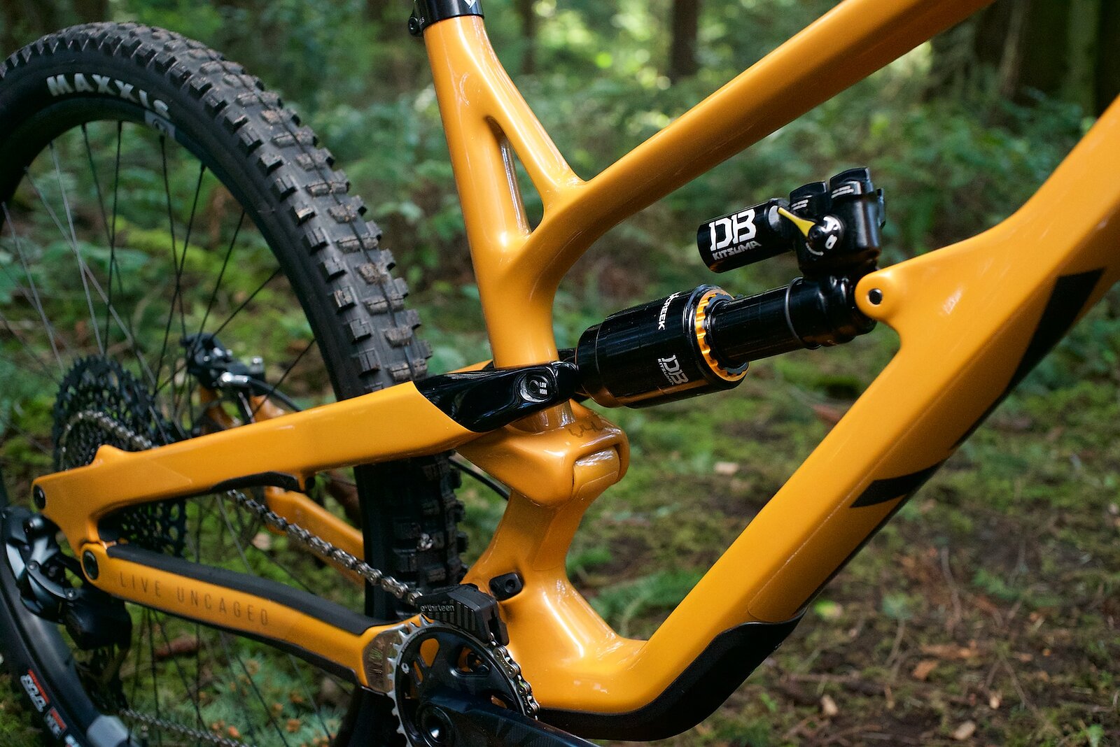 Bike Review YT Jeffsy Uncaged 8 Freehub Magazine